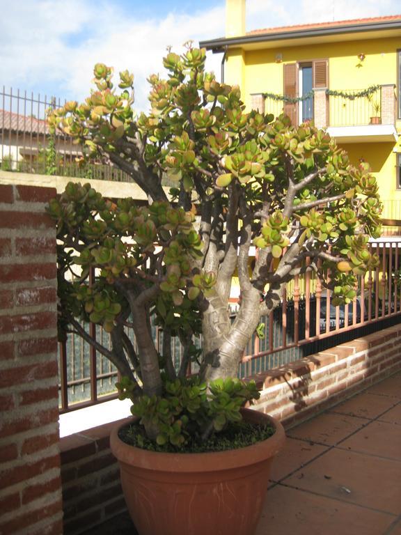 Villa Nina Trecastagni Extérieur photo